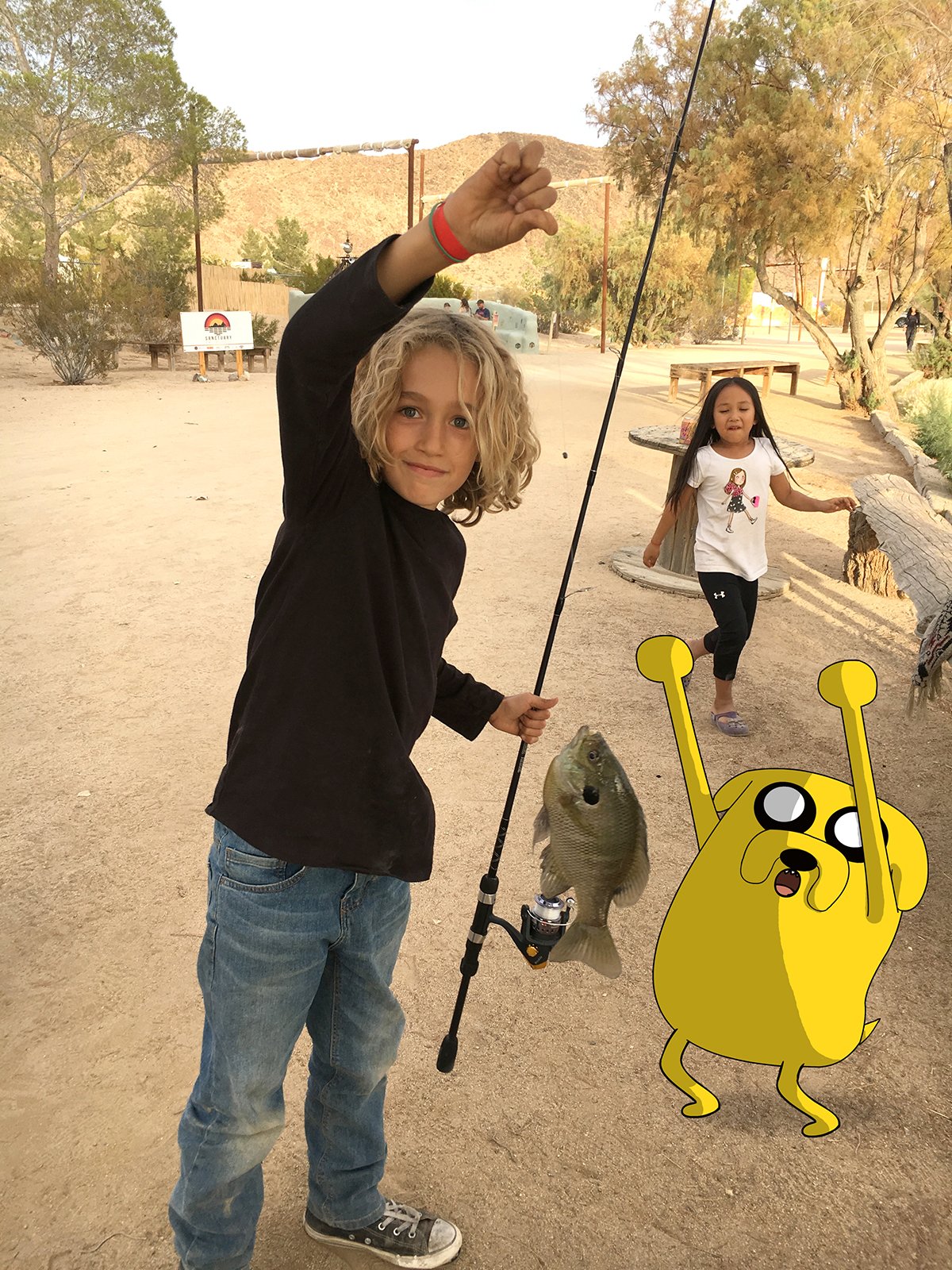 fish.jpg