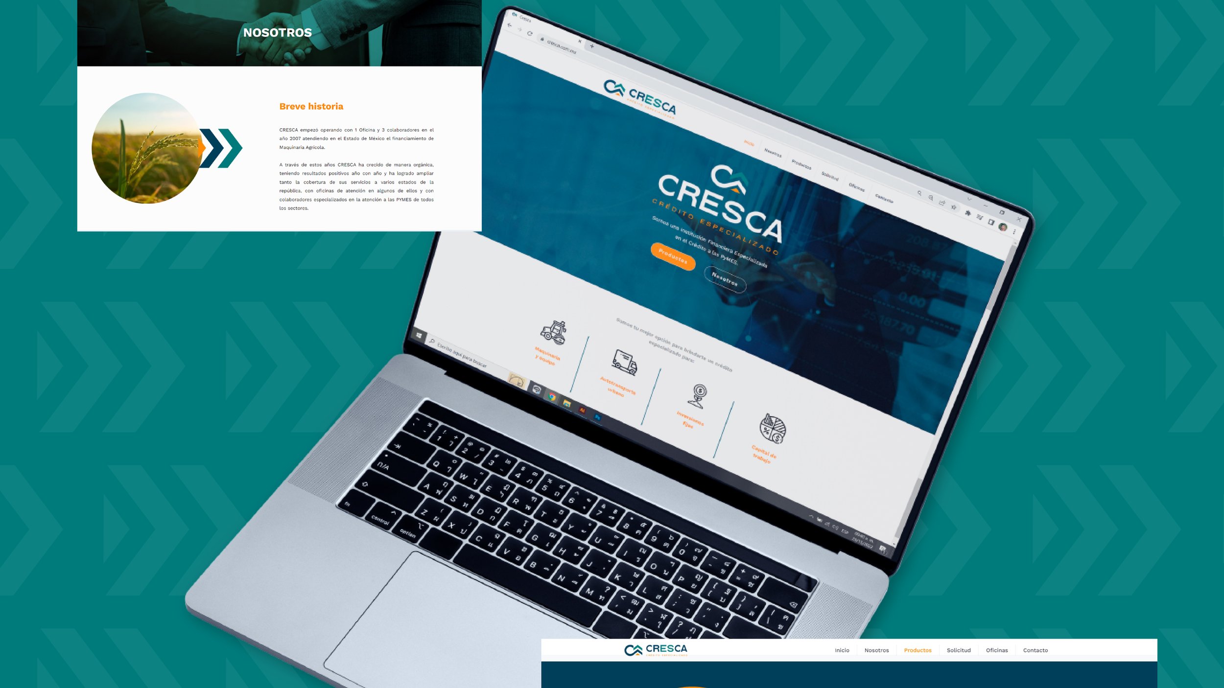Cresca_12.jpg