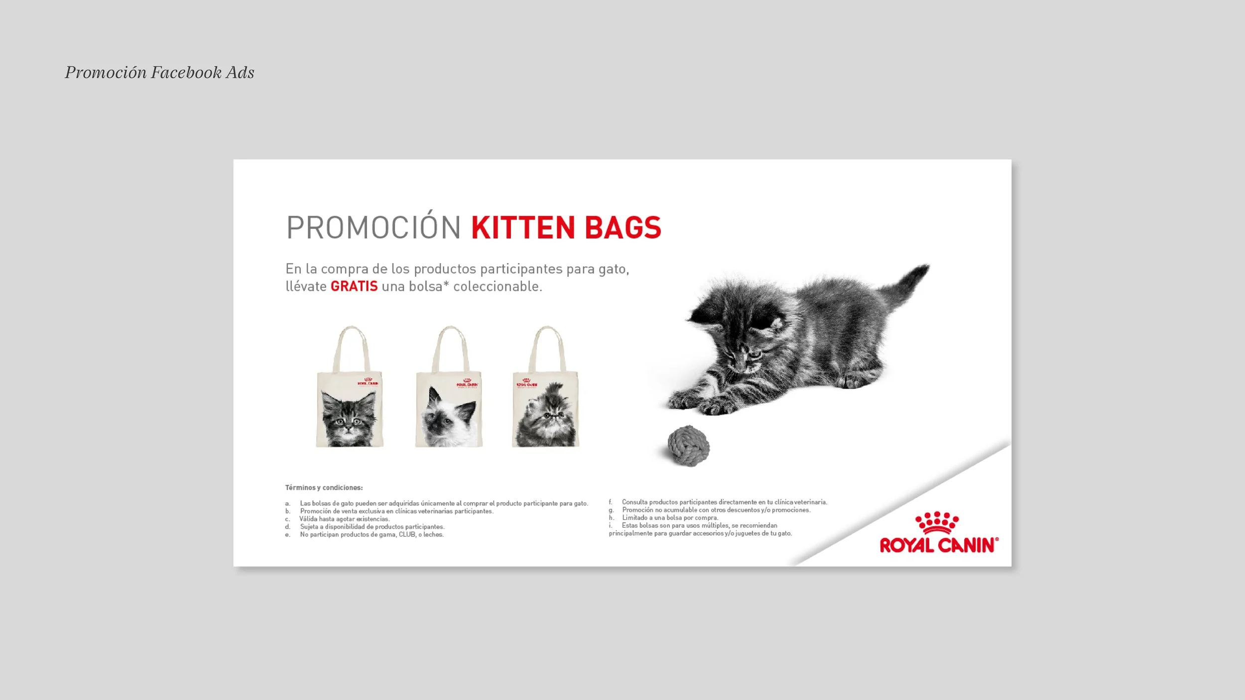 RoyalCaninSM_08_FacebookAds2.jpg