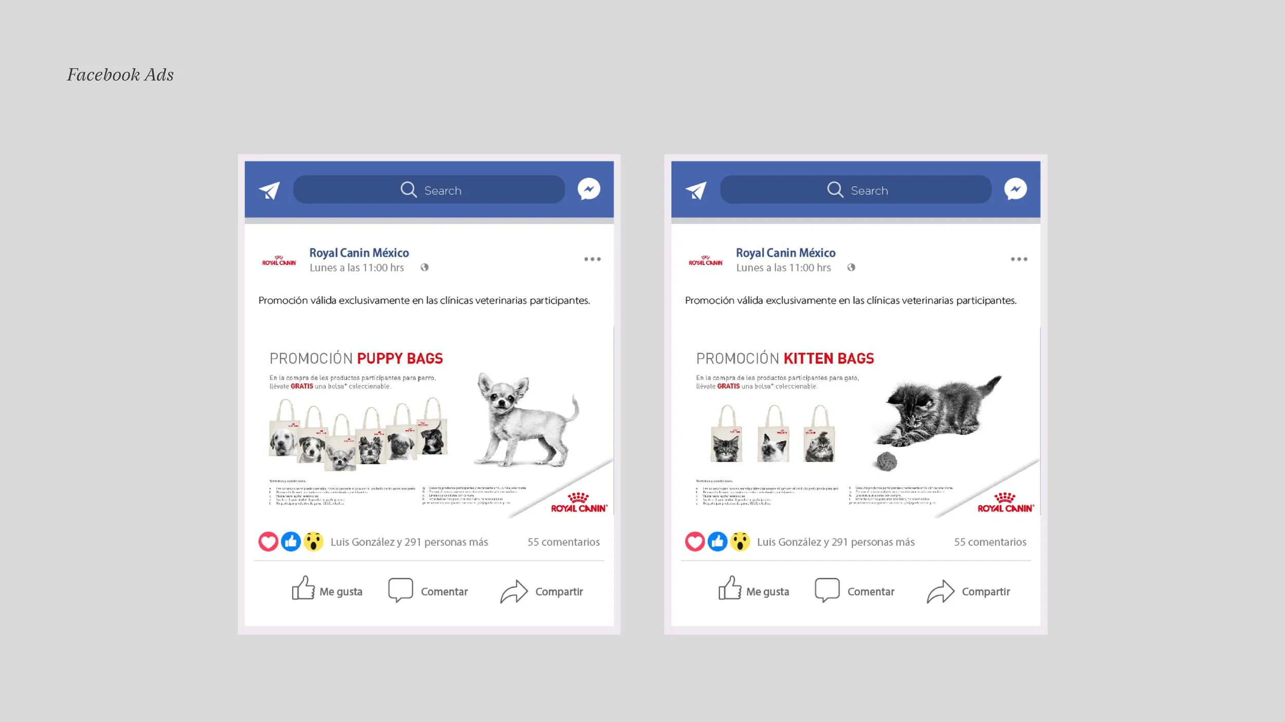 RoyalCaninSM_09_FacebookAds3.jpg