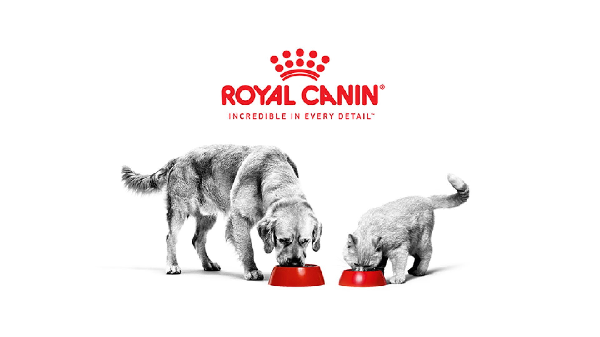 RoyalCaninSM_08_Portada.jpg