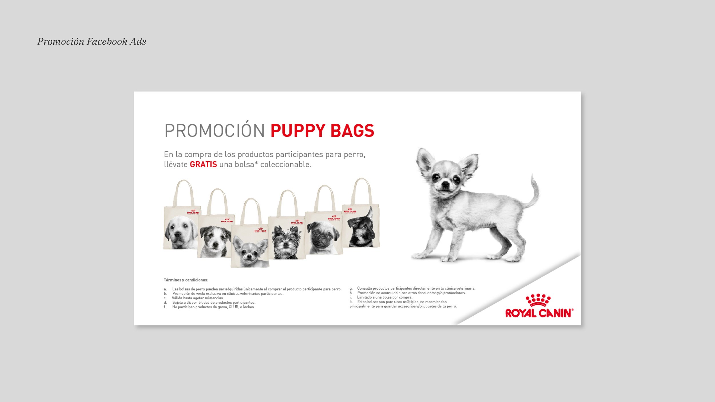 RoyalCaninSM_07_FacebookAds1.jpg