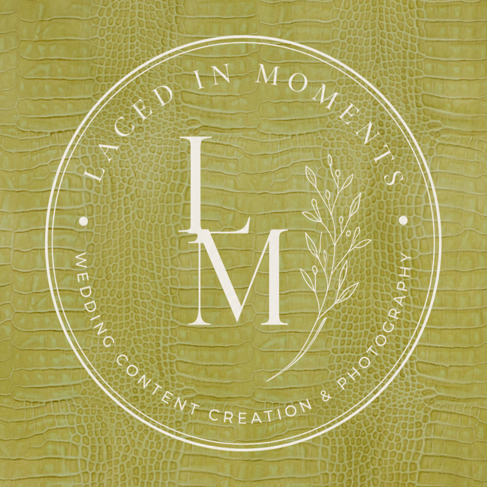LIM REBRAND 2027 (1).png