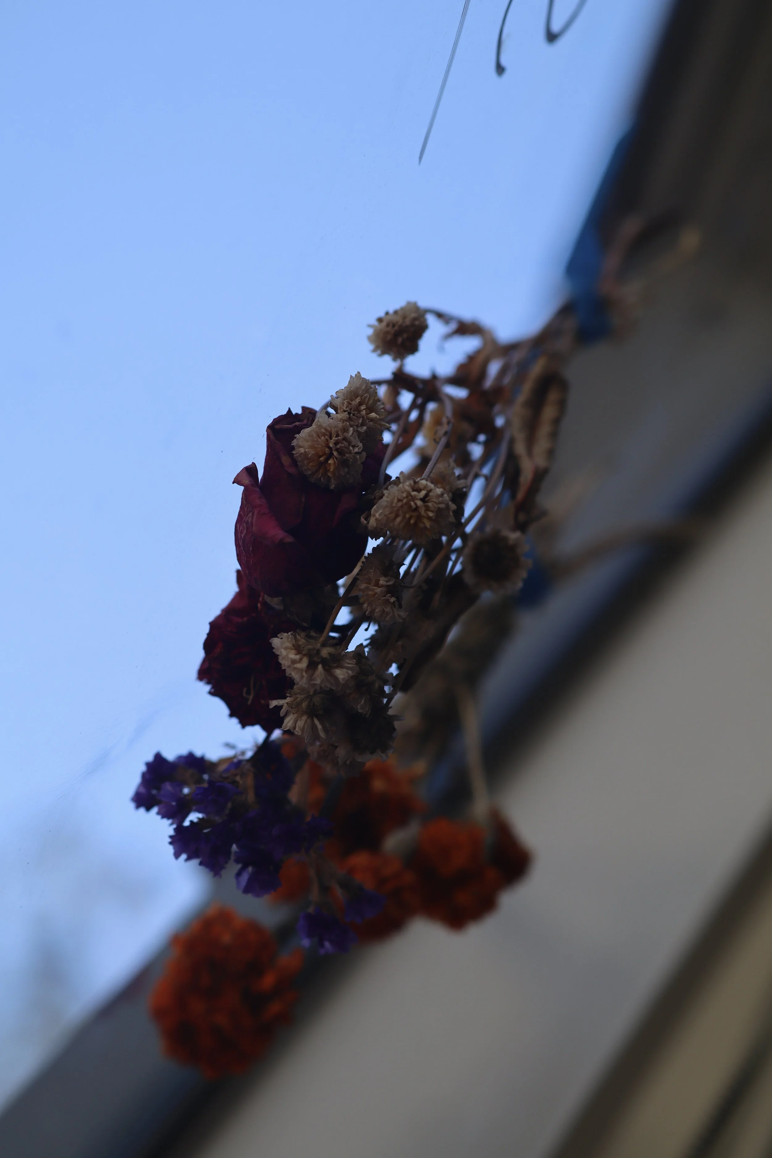 Dried Flowers