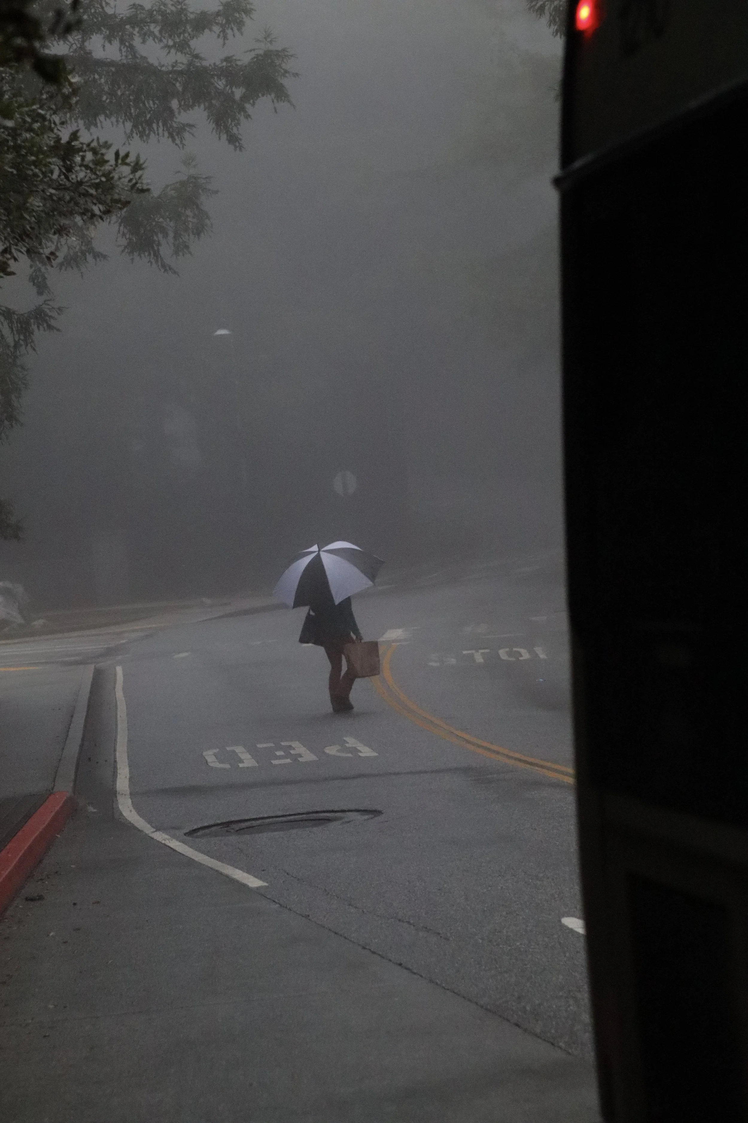 Errands in the Rain