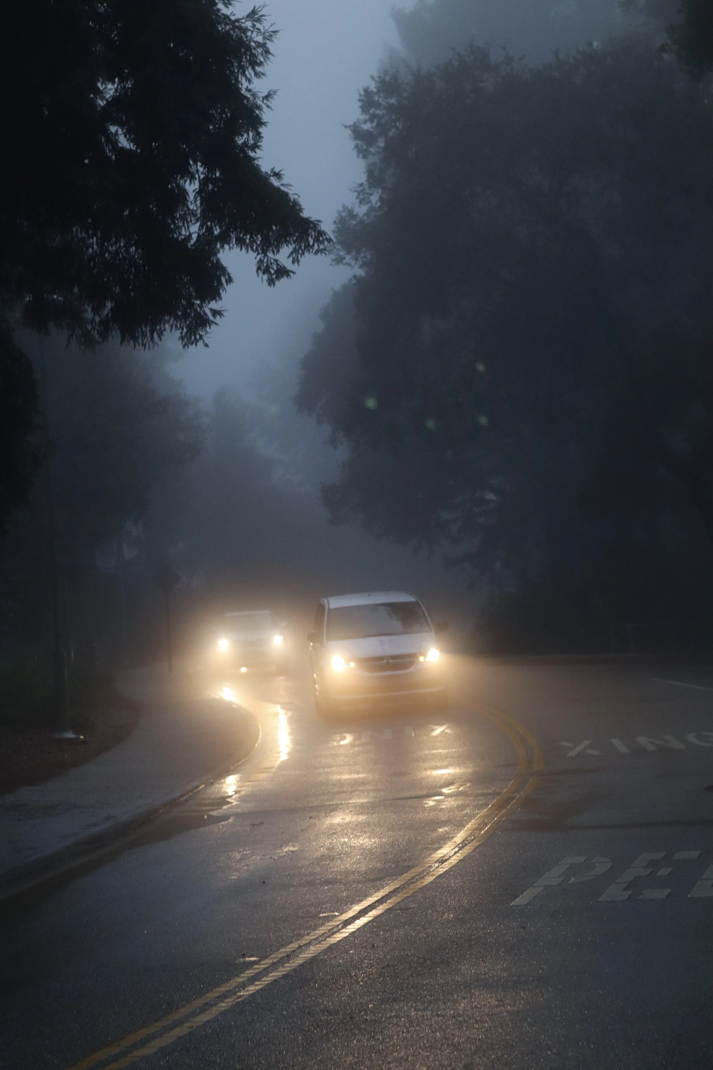 Foggy Road