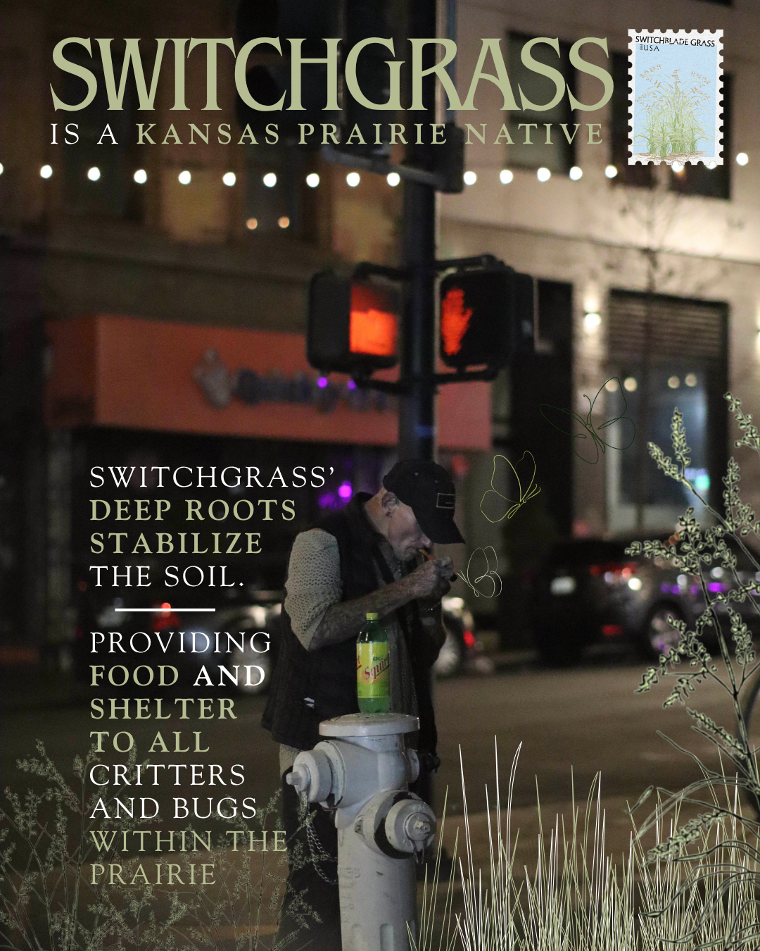Switchgrass.png