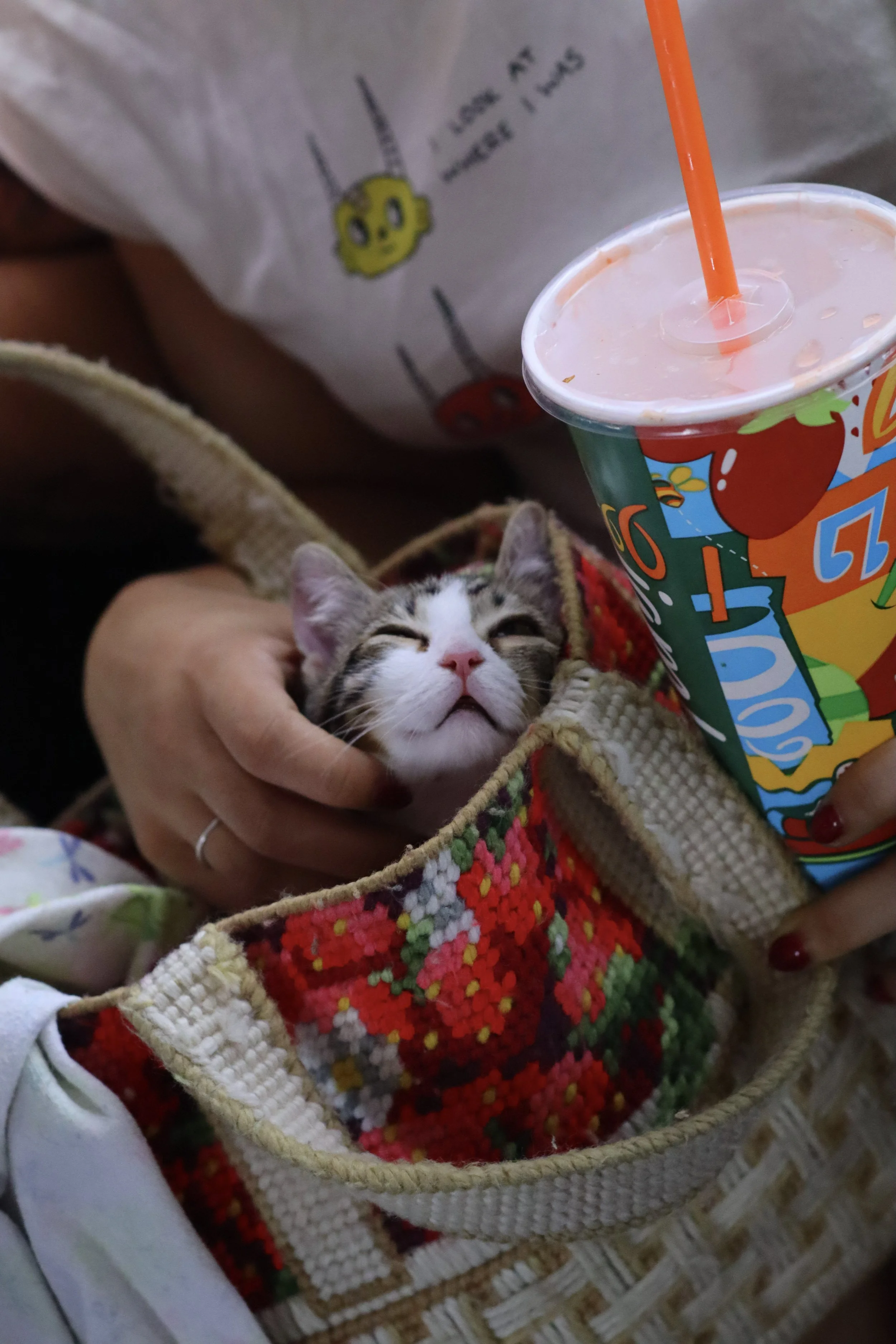 A small kitten with a white face and gray tabby markings is being gently held in a cozy, multicolored crocheted basket. The kitten's eyes are mostly closed, and it appears relaxed and content. In the background, there is a colorful cup with a straw c