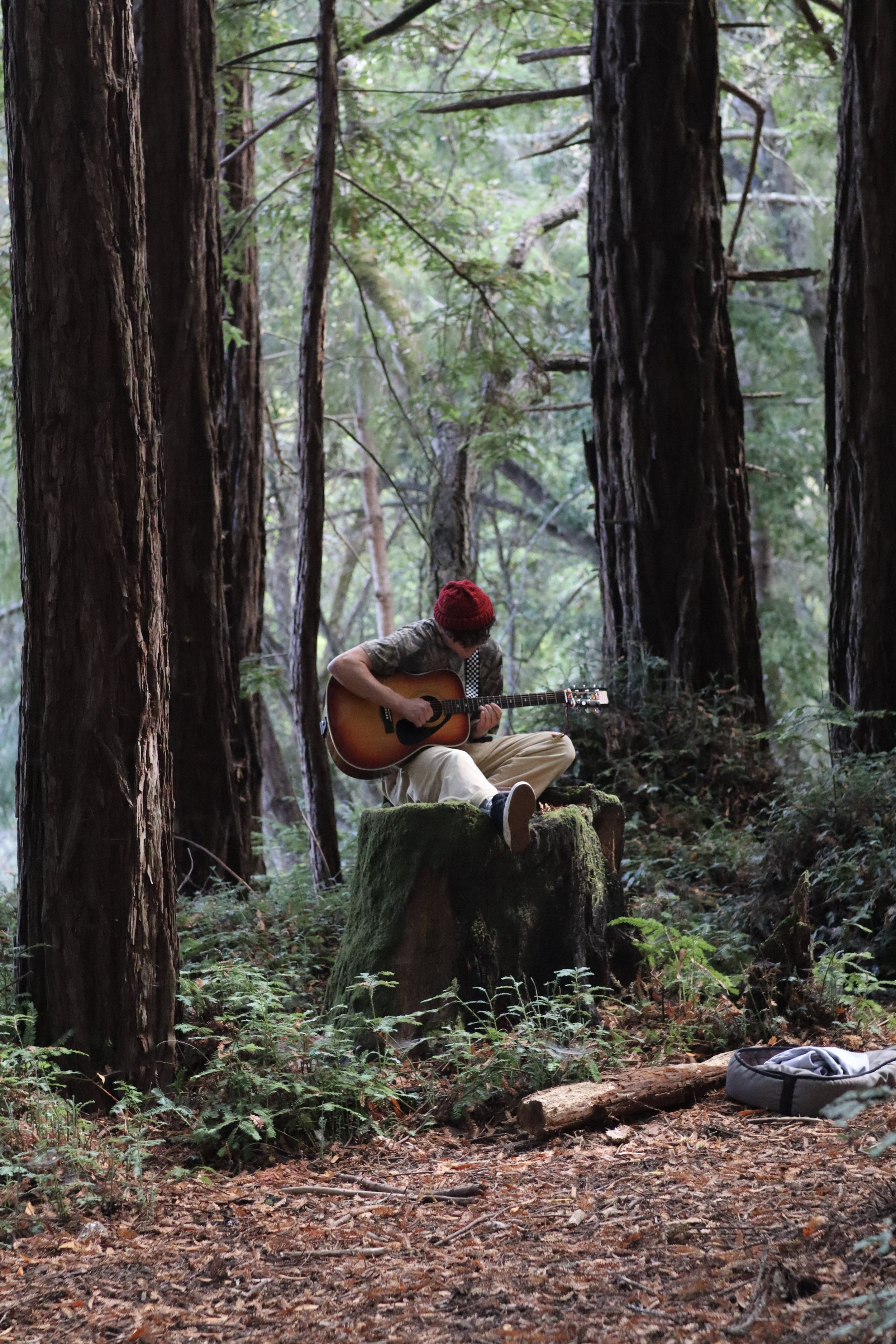A person sitting on a tree stump in a dense forest, playing an acoustic guitar. The person is wearing a red beanie and light-colored pants. There is a backpack on the ground nearby, surrounded by tall trees and green foliage.