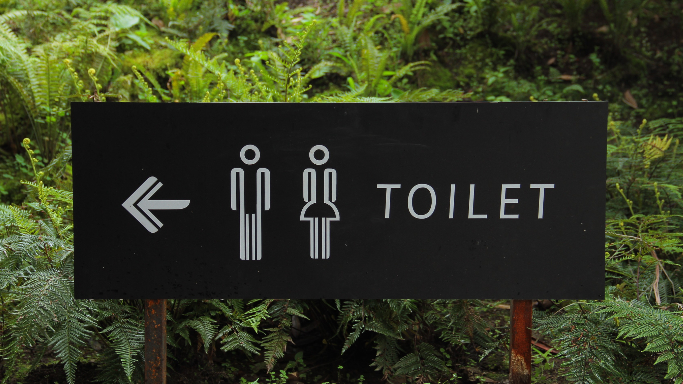 Black sign with white symbols indicating male and female restrooms and an arrow pointing left, with the word 'TOILET' on the right, surrounded by green foliage.