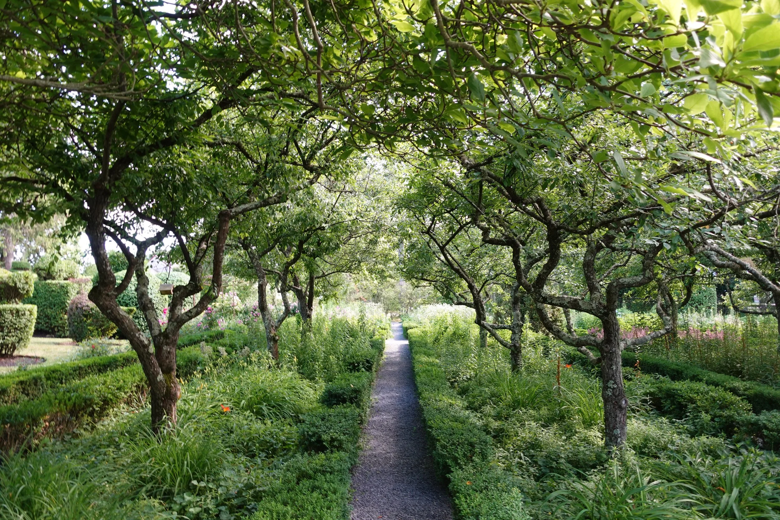 Inner_garden