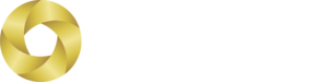 Orbis logo with a golden circular emblem and the word 'ORBIS' in white capital letters.