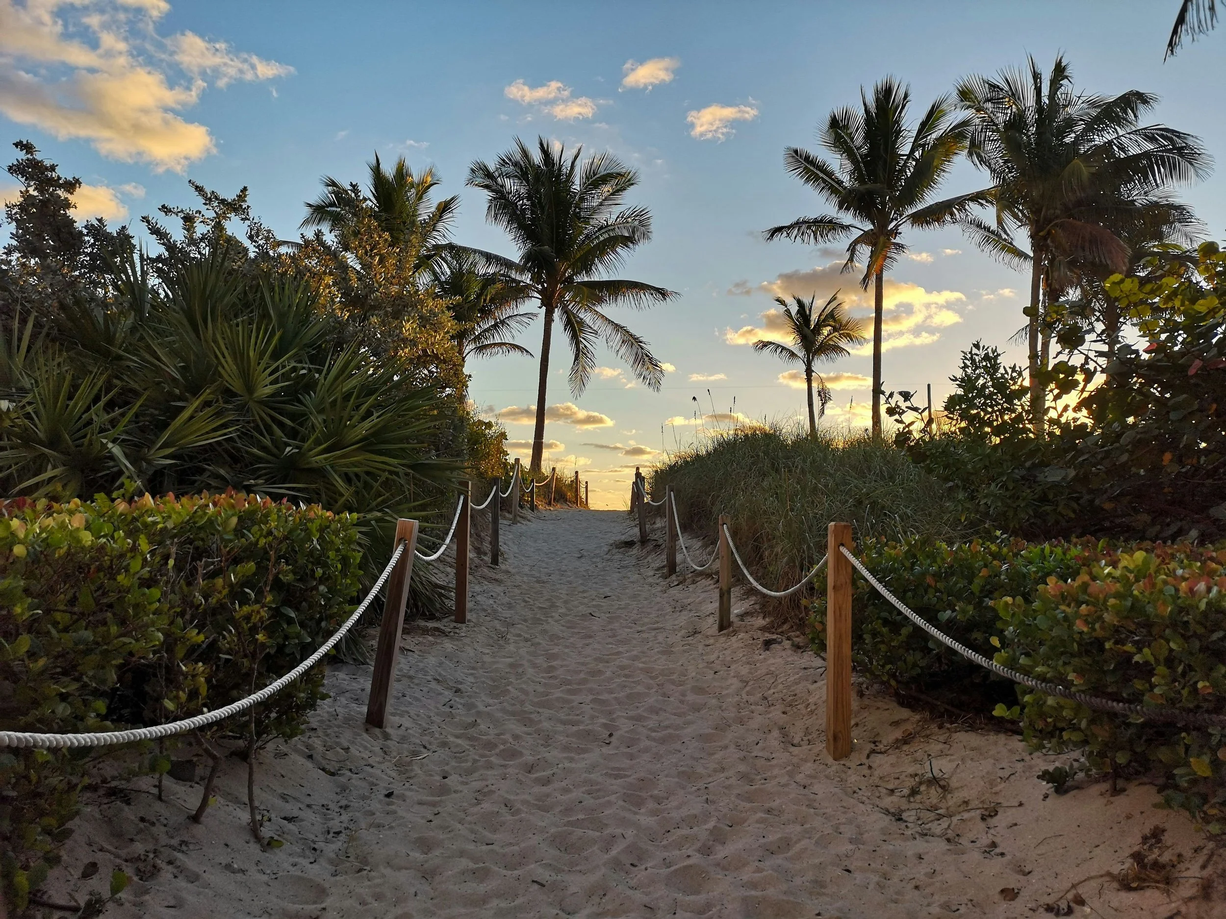 Coastal landscape representing connection, recovery and whole-person addiction therapy