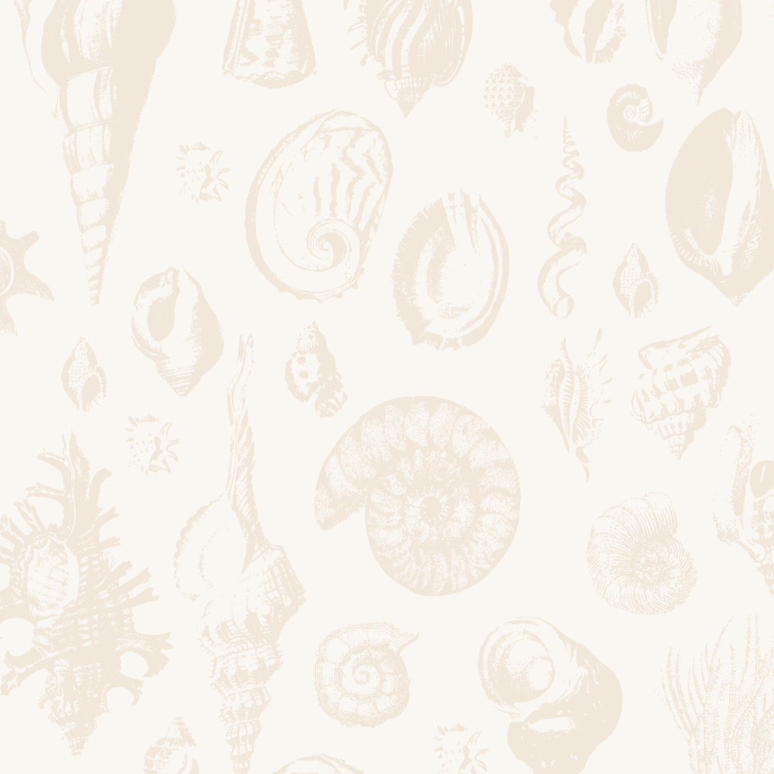 Shell-pattern background