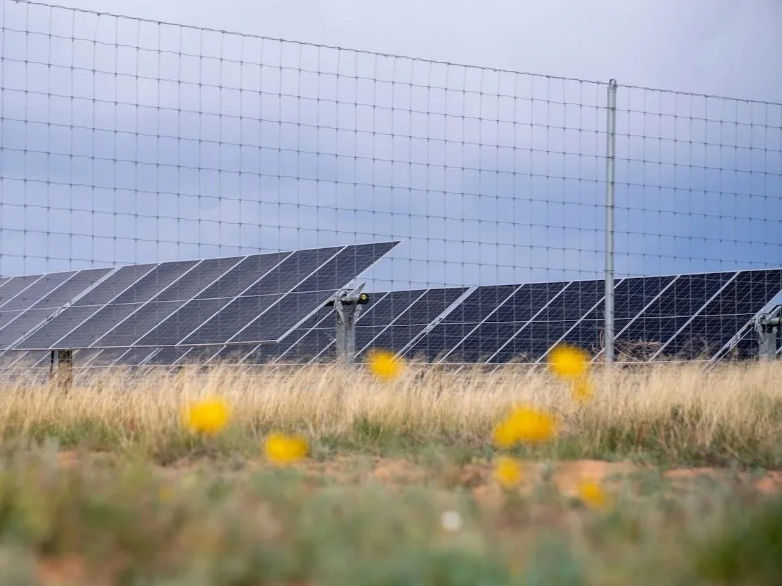 Solar panels installed on a field with yellow flowers and a fence in the background under a cloudy sky.