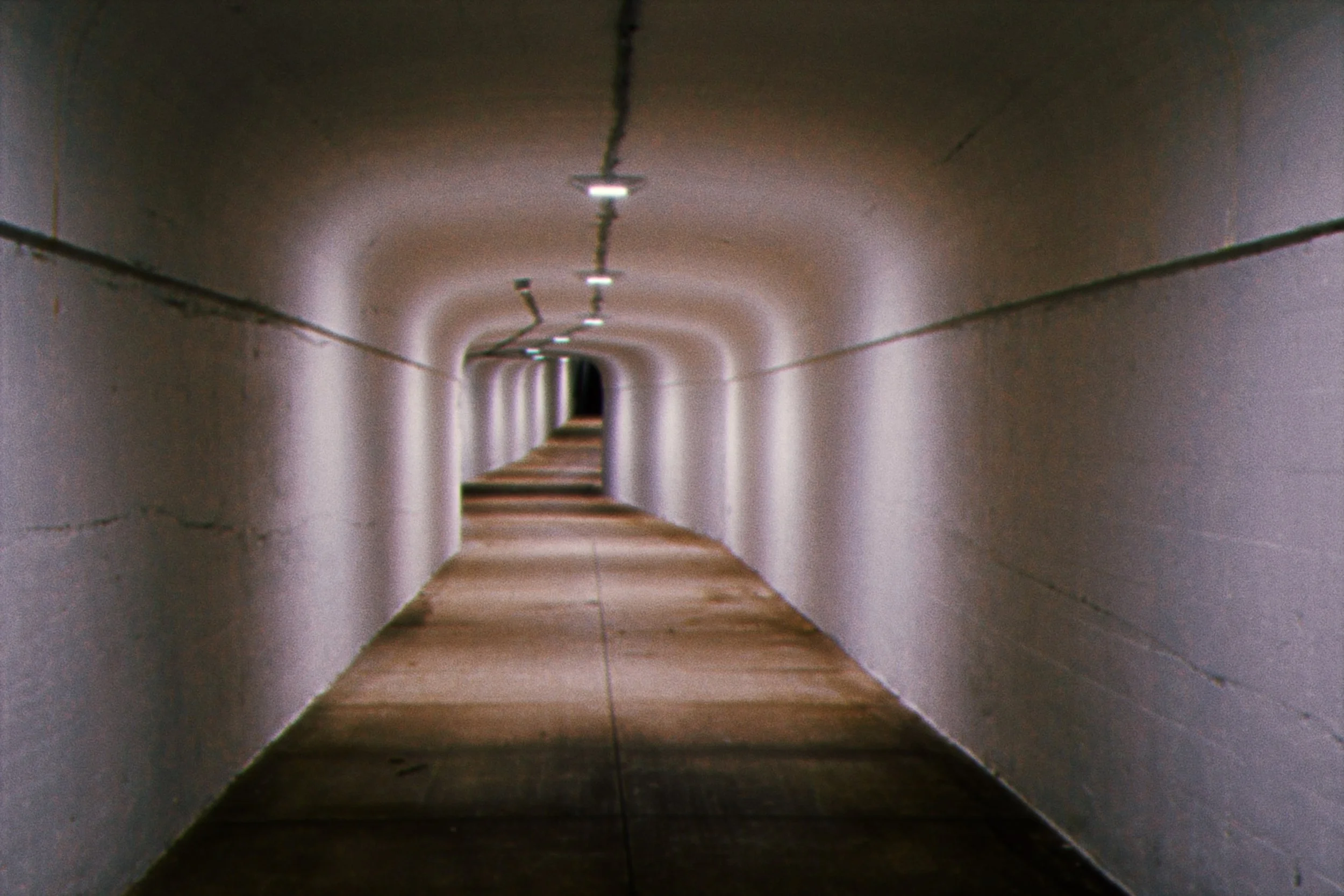 6C2A8974-E48D-46BB-8099-83998F999476.jpeg