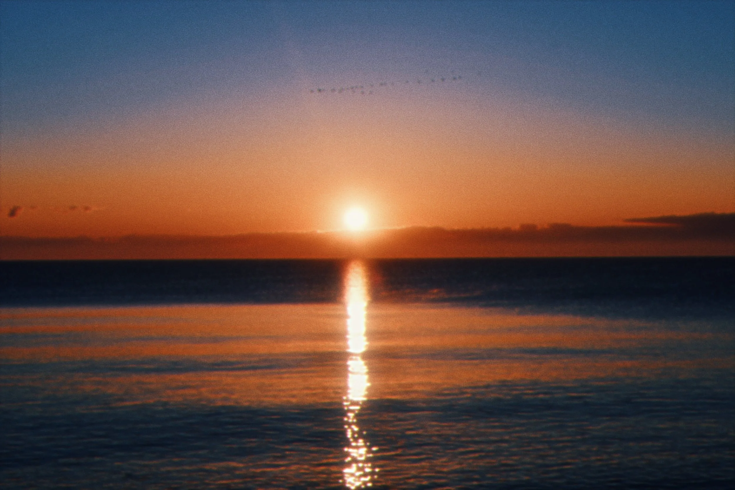 79E1E460-85C5-4D5A-8982-5C03A197BF09.jpeg