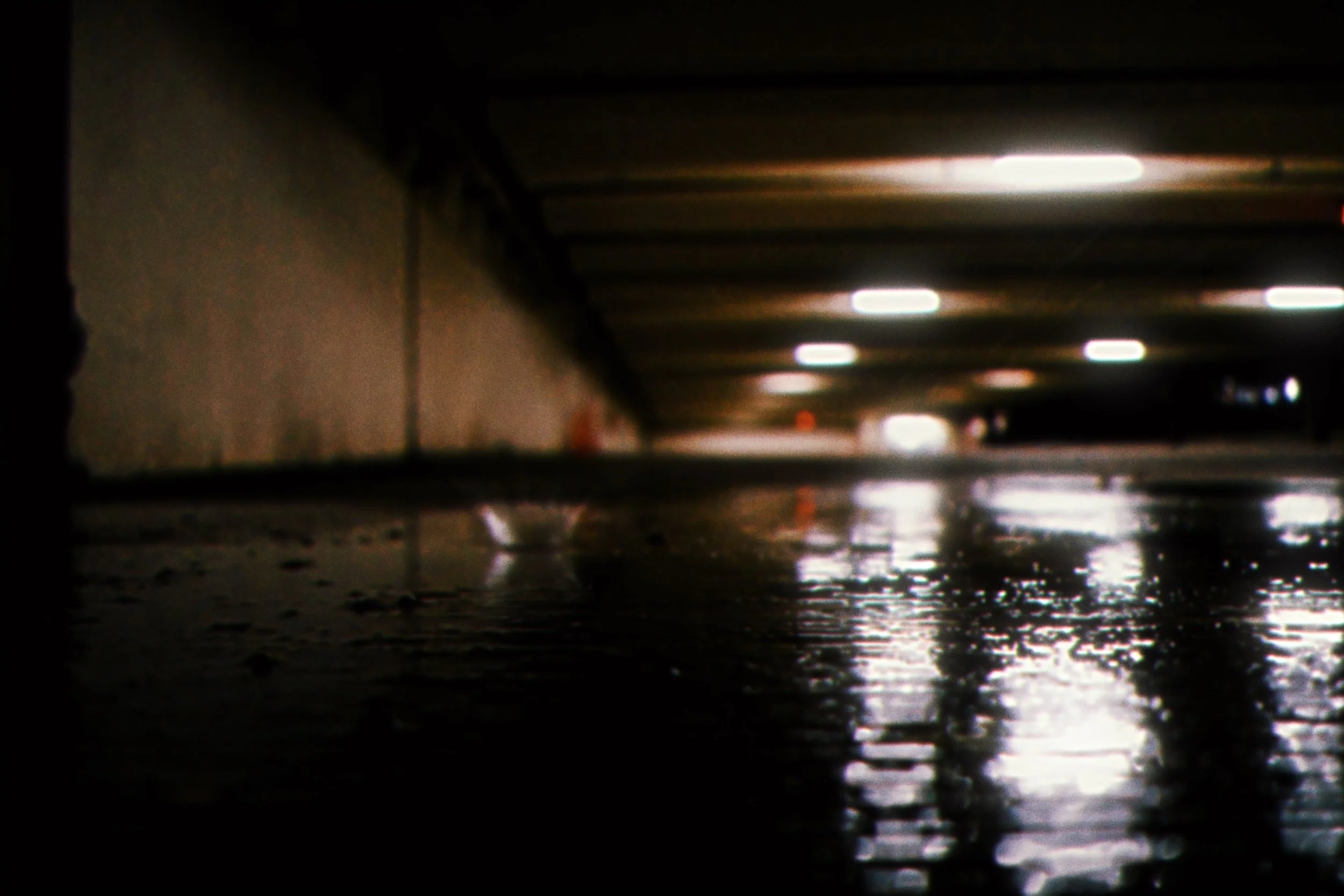8851505F-EF5D-481A-8DCD-EC0C3CA3831E.jpeg
