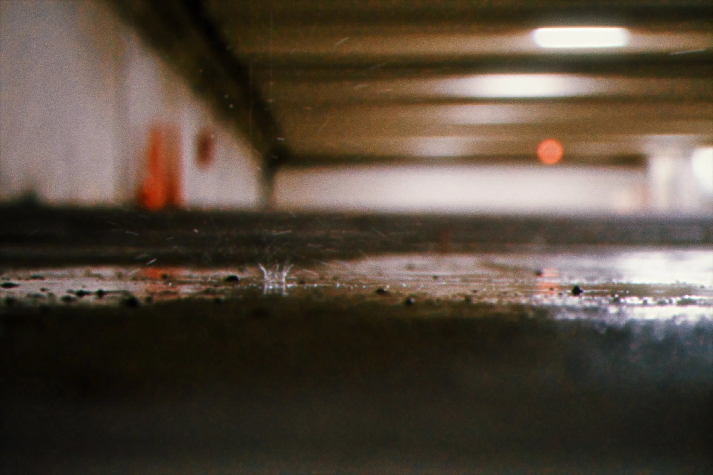 CBE57FEC-C807-4501-85B8-4296E6953C2B.jpeg