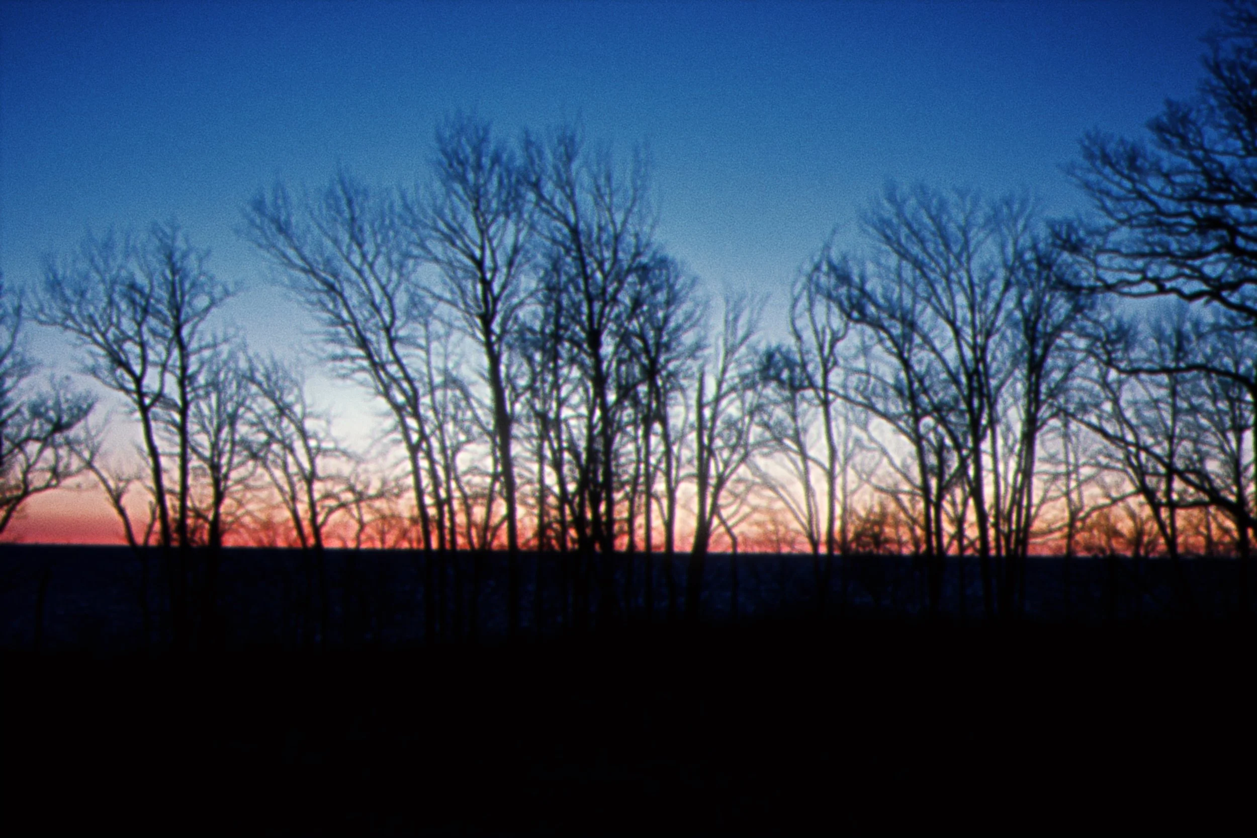 D0E63519-2C0C-4476-A34A-D17518B9620C.jpeg