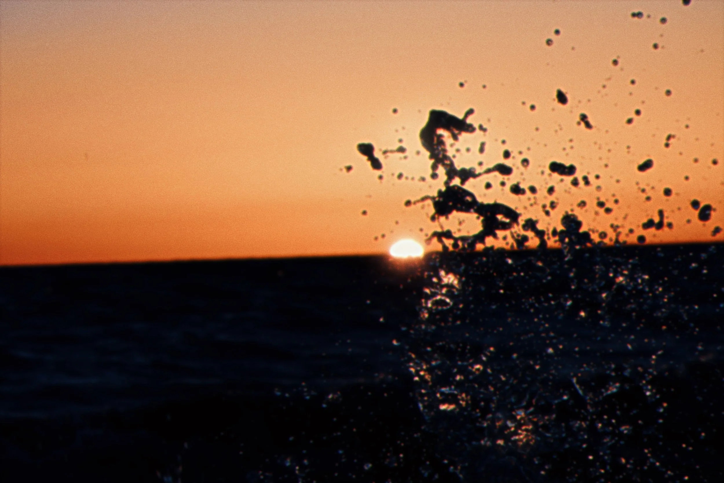 7A19B96A-712E-4D0F-9DF2-725BF0D8B201.jpeg