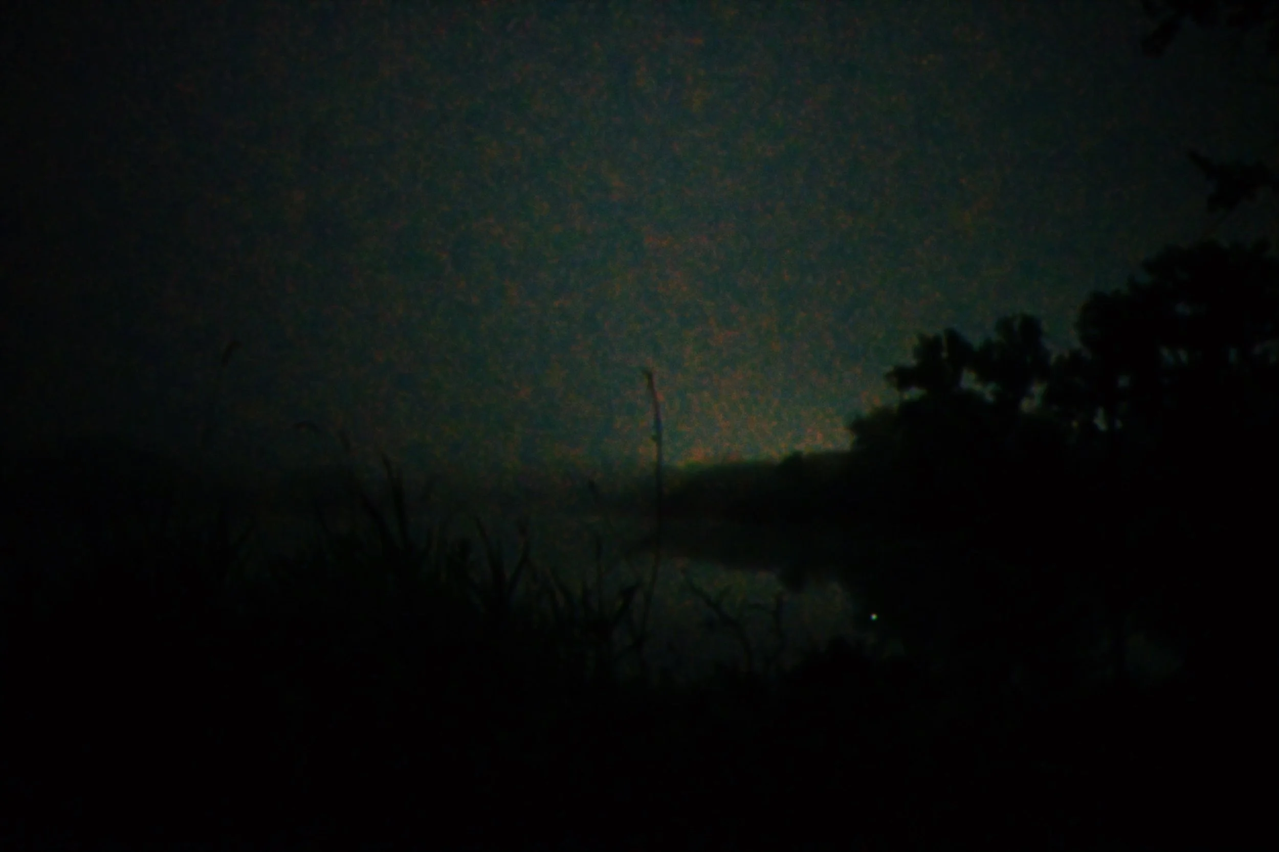 6AFCD013-0D95-45A0-BB50-59D608E2CE70.jpeg