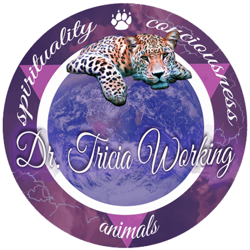 Dr Tricia Working is an animal mystic and co-author of The Moment I Said Yes anthology offering bonus gifts. The logo includes the words 'Dr. Tricia Working' and phrases 'spirituality', 'courageousness', and 'animals' around the border.
