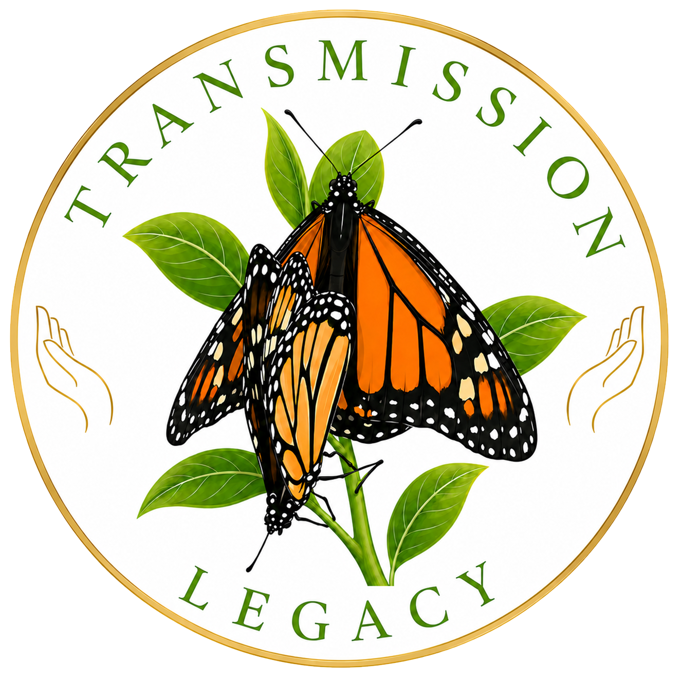 Fawn Christianson is a Trager Practitioner implementing the Golden Flow and co-author of The Moment I Said Yes anthology offering bonus gifts for the purchase of the book. 'TRANSMISSION LEGACY' logo.