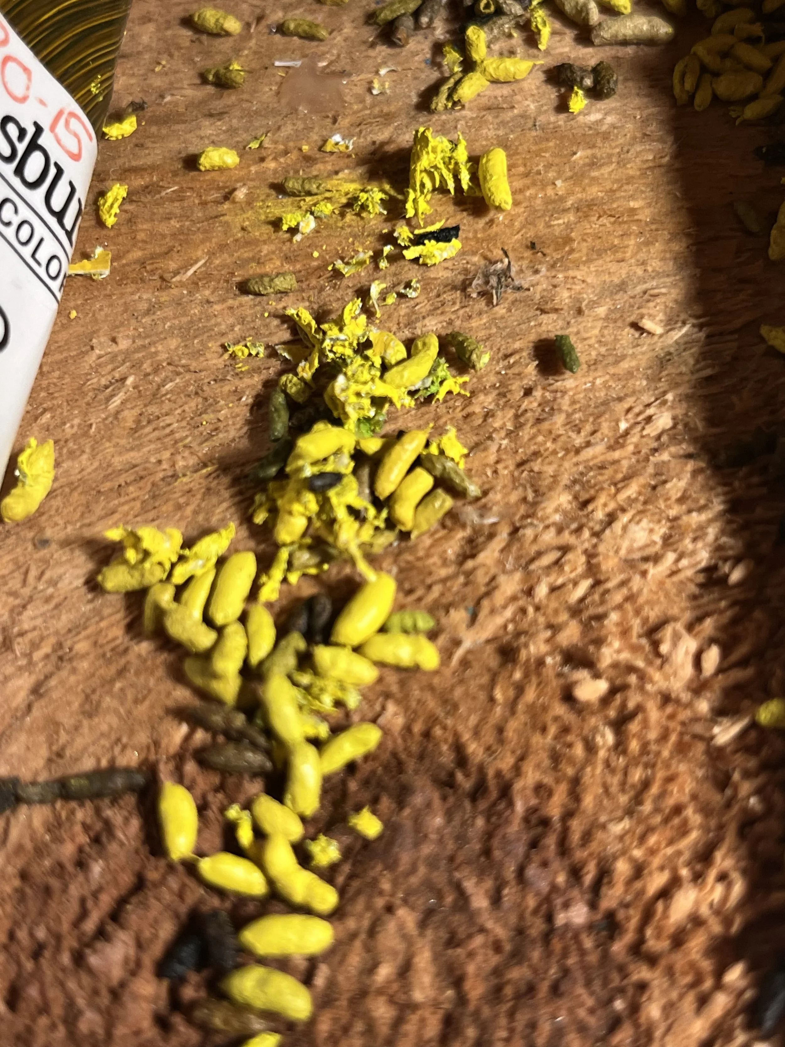 cadmium poop trails