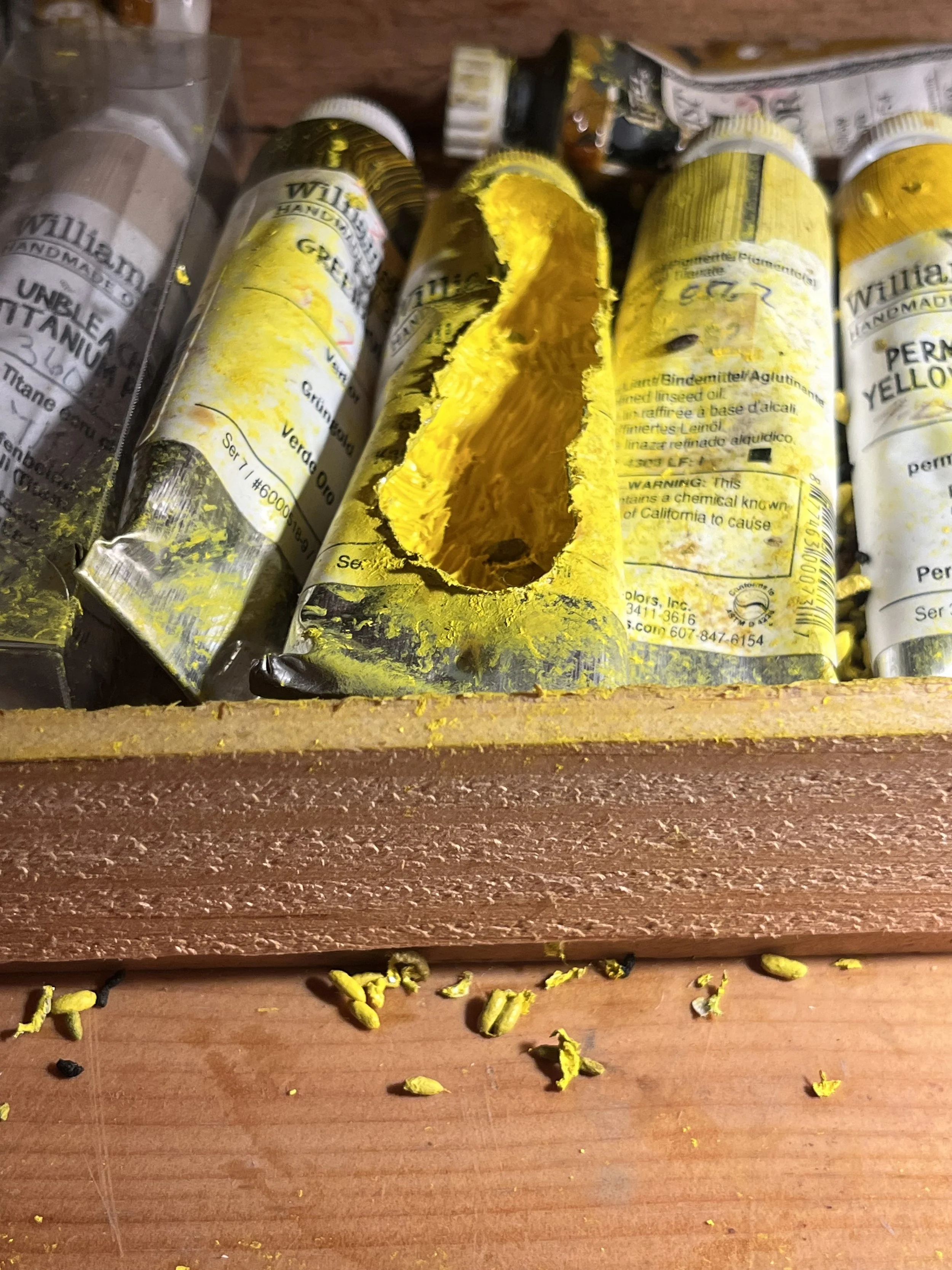 gnawed cadmium yellow oil paint