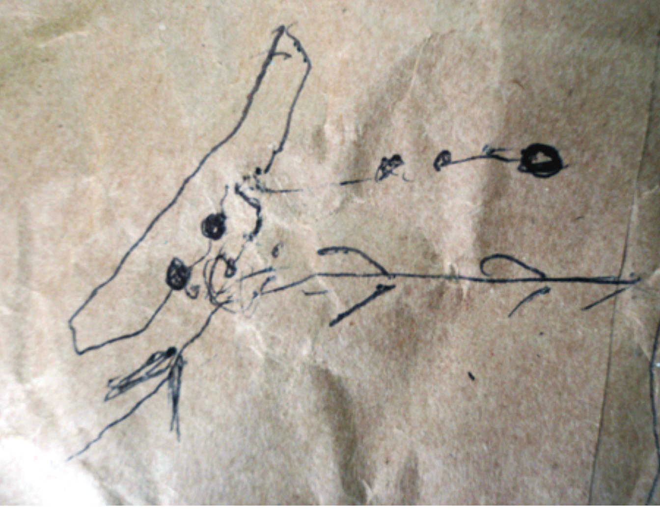 A pencil sketch on brown paper showing the site of sediment retrieval from the seafloor off the coast of Japan after the Fukushima power plant disaster.