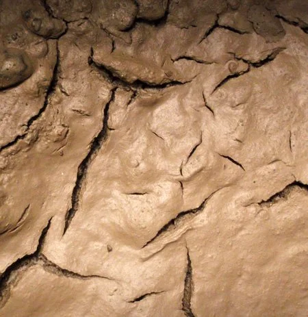 mud closeup.jpg
