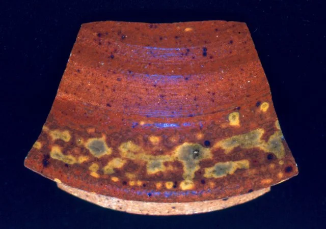 Yellow Speckles of Foraminifera