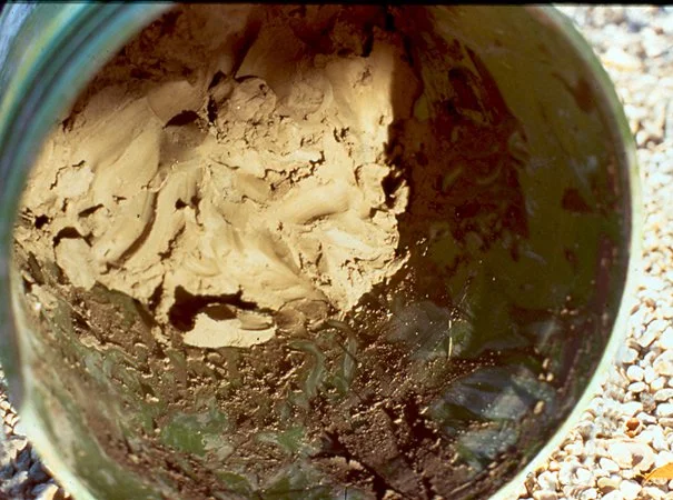 First Mud Sample