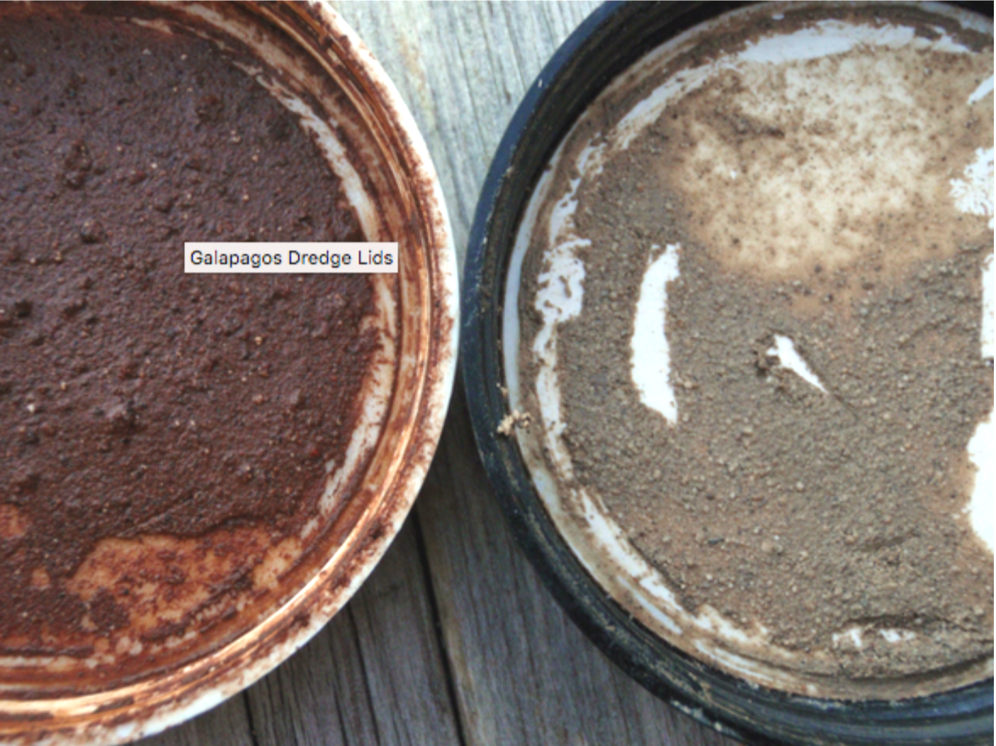 Close-up of two open containers with seafloor sediment of contrasting colors, both labeled 'Galapagos Dredge Lids'.