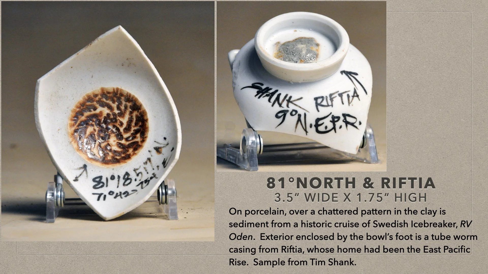 Riftia from hydrothermal vent and sediment from 61 degrees north from cruise of Swedish Icebreaker Oden