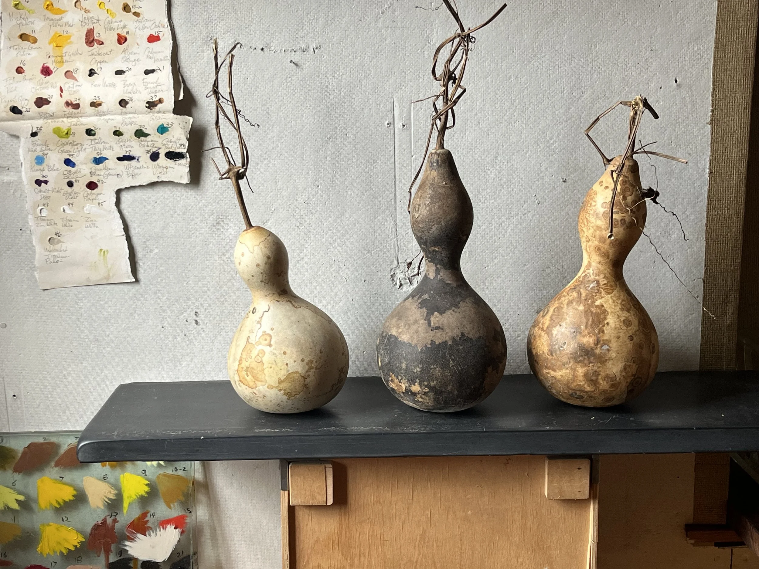 gourds on slate