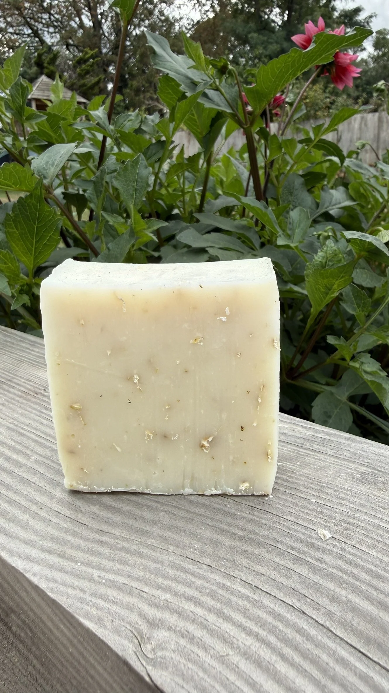 Oat and Rosemary