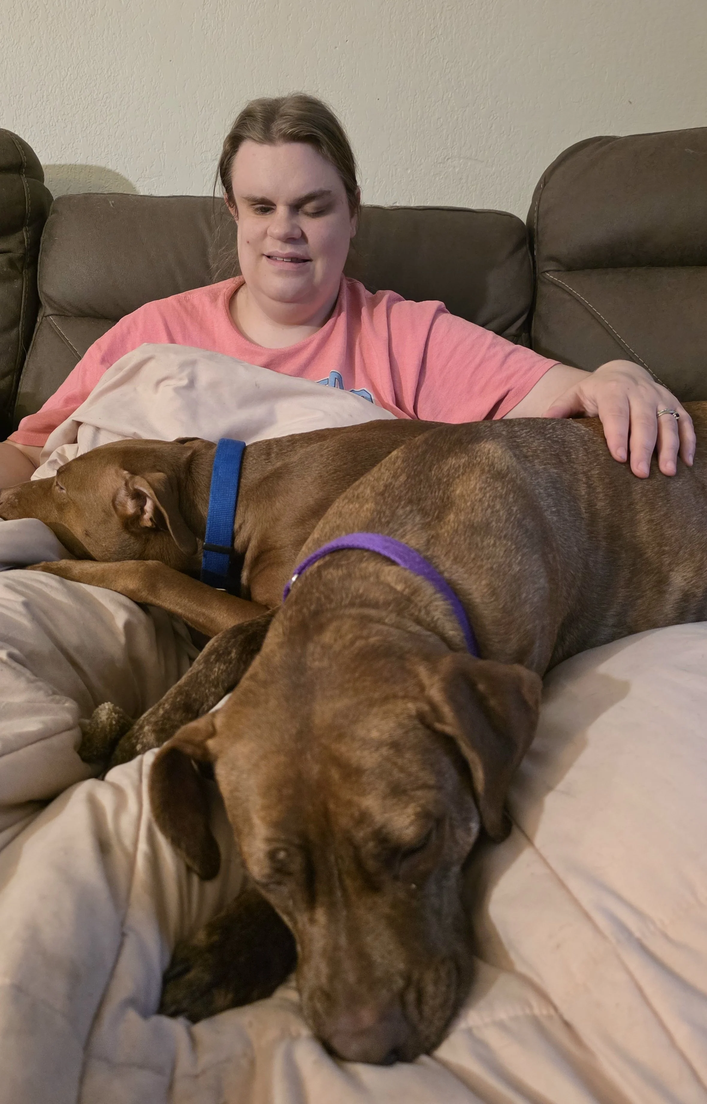 A woman sitting on a couch, smiling, with two brown dogs resting on her lap and nearby. One dog is lying down with its head tilted, and the other dog is lying with its back to the camera. The woman is touching one dog, wearing a pink shirt.
