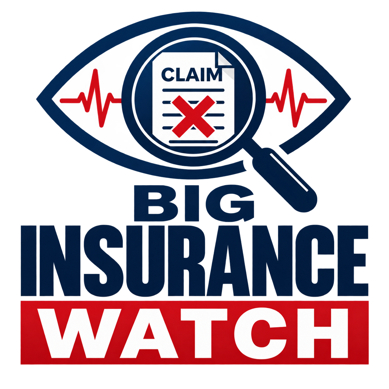 Big Insurance Watch