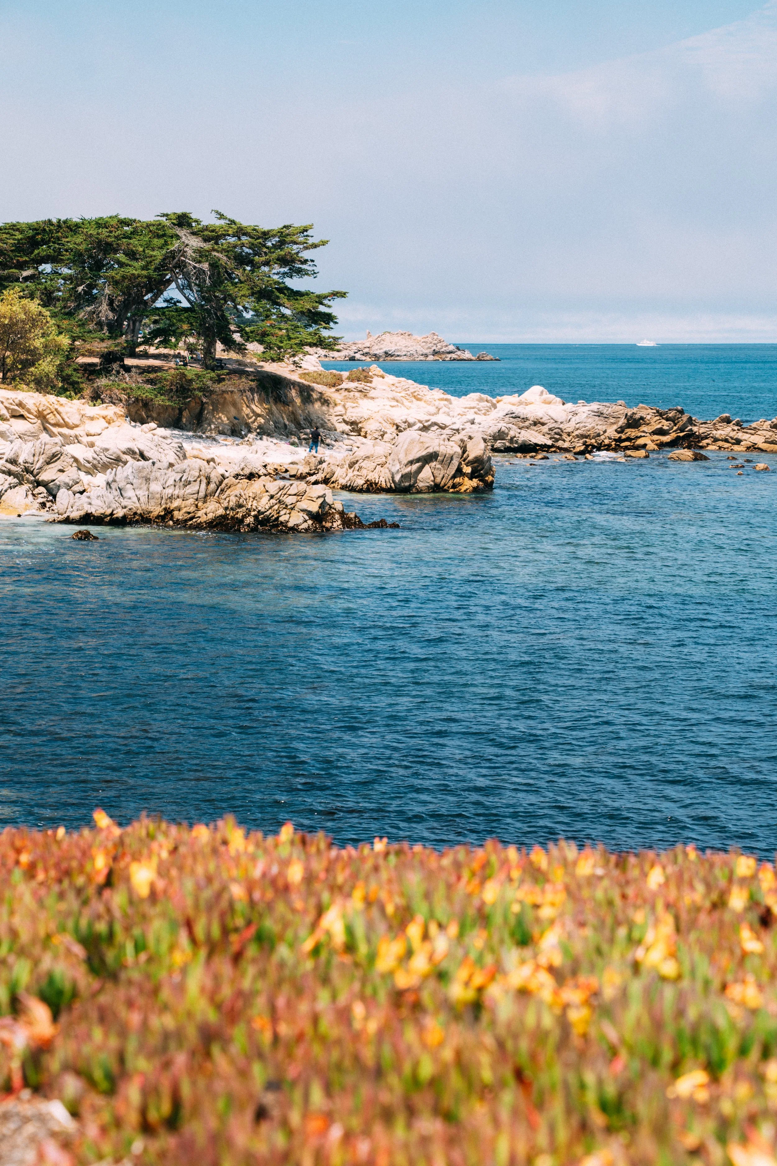 072922_monterey-6.jpg