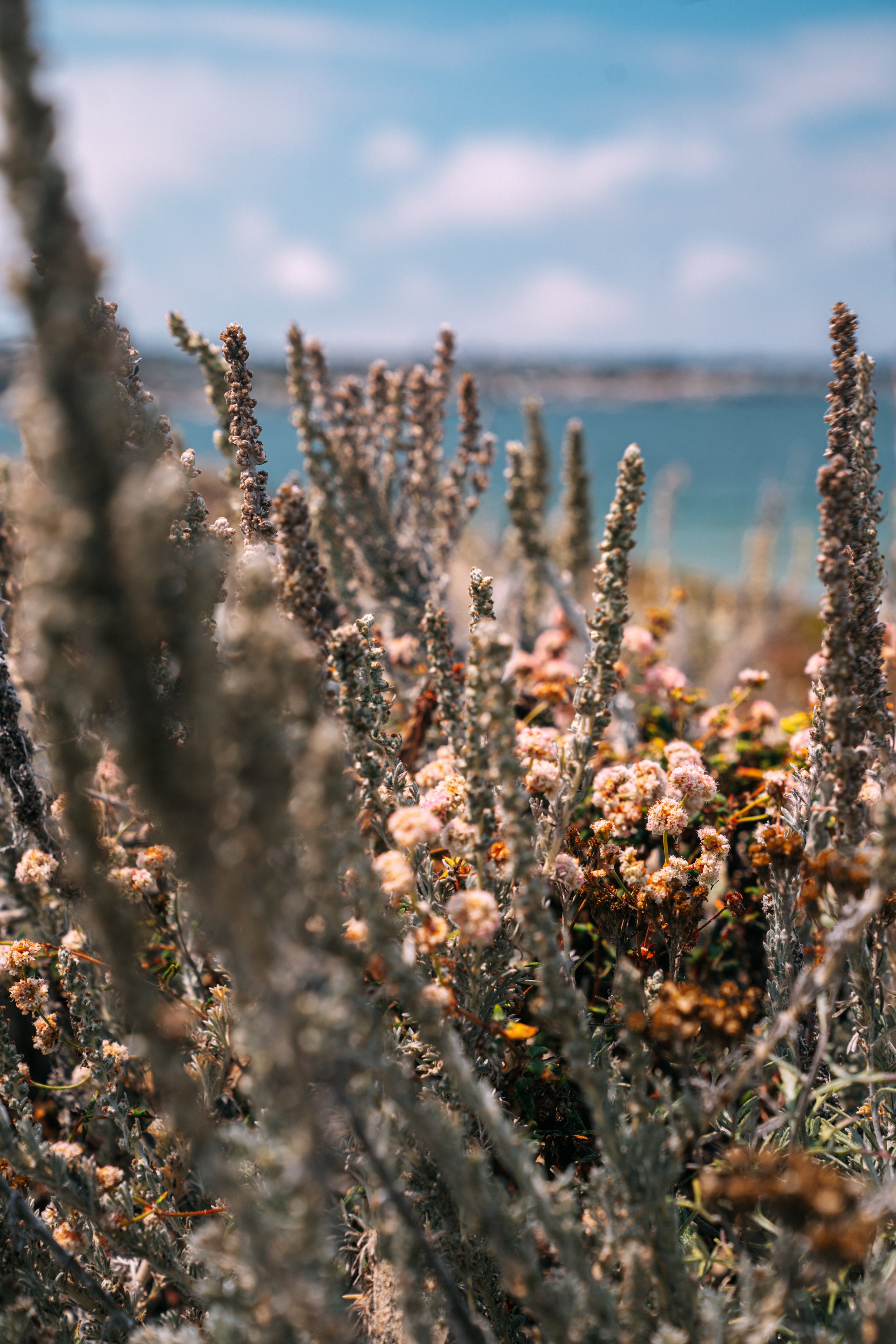073022_monterey-5.jpg