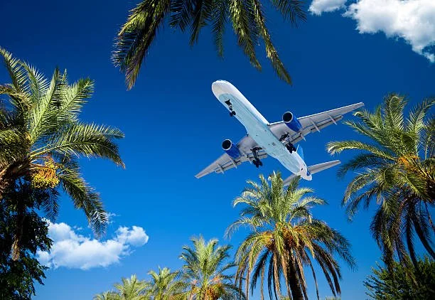 Flights