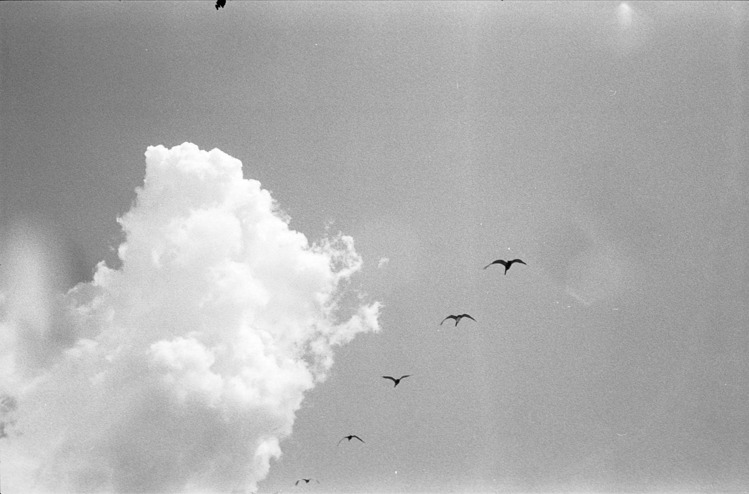 Image 15.jpg