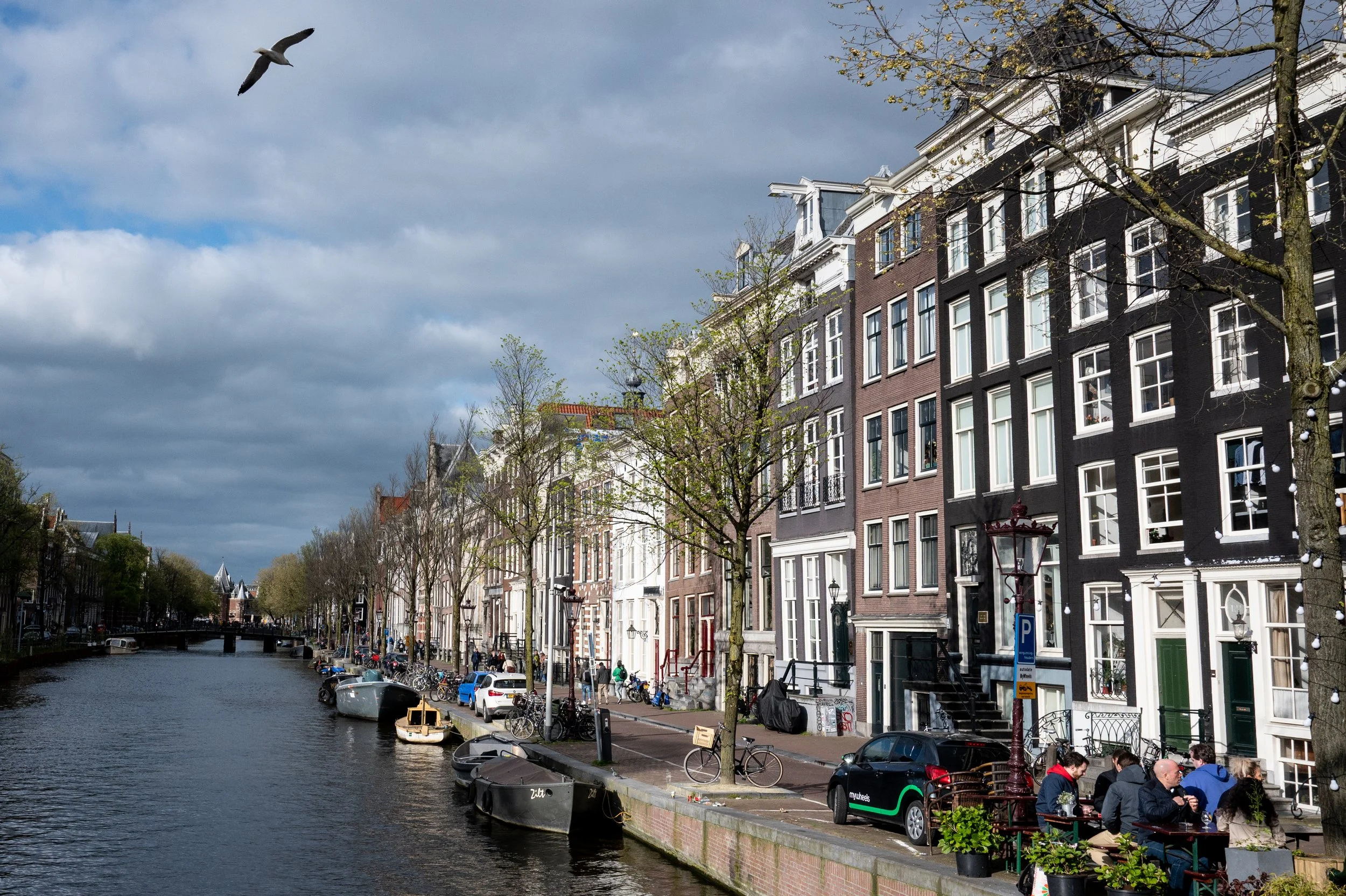 DSC_3329.jpg