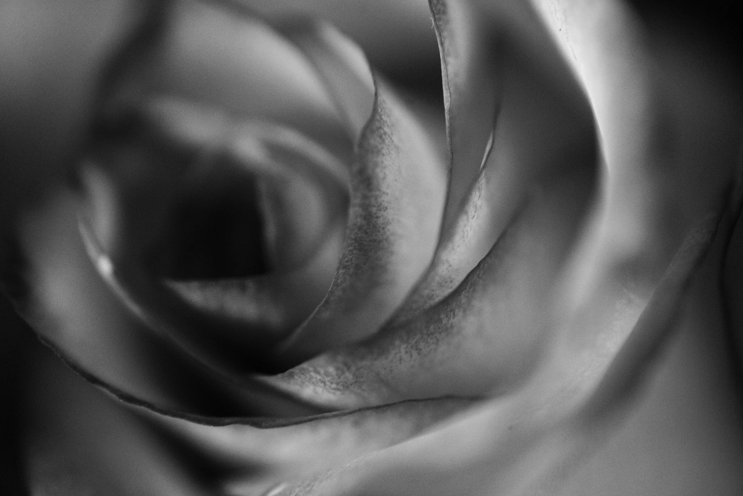 20190118-_DSC0879.jpg