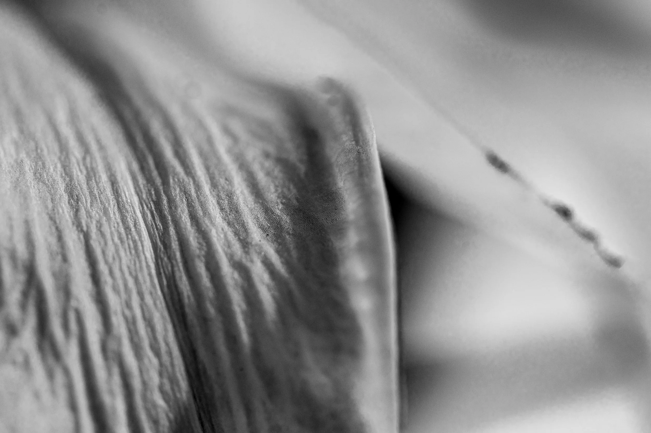 DSC_7011.jpg