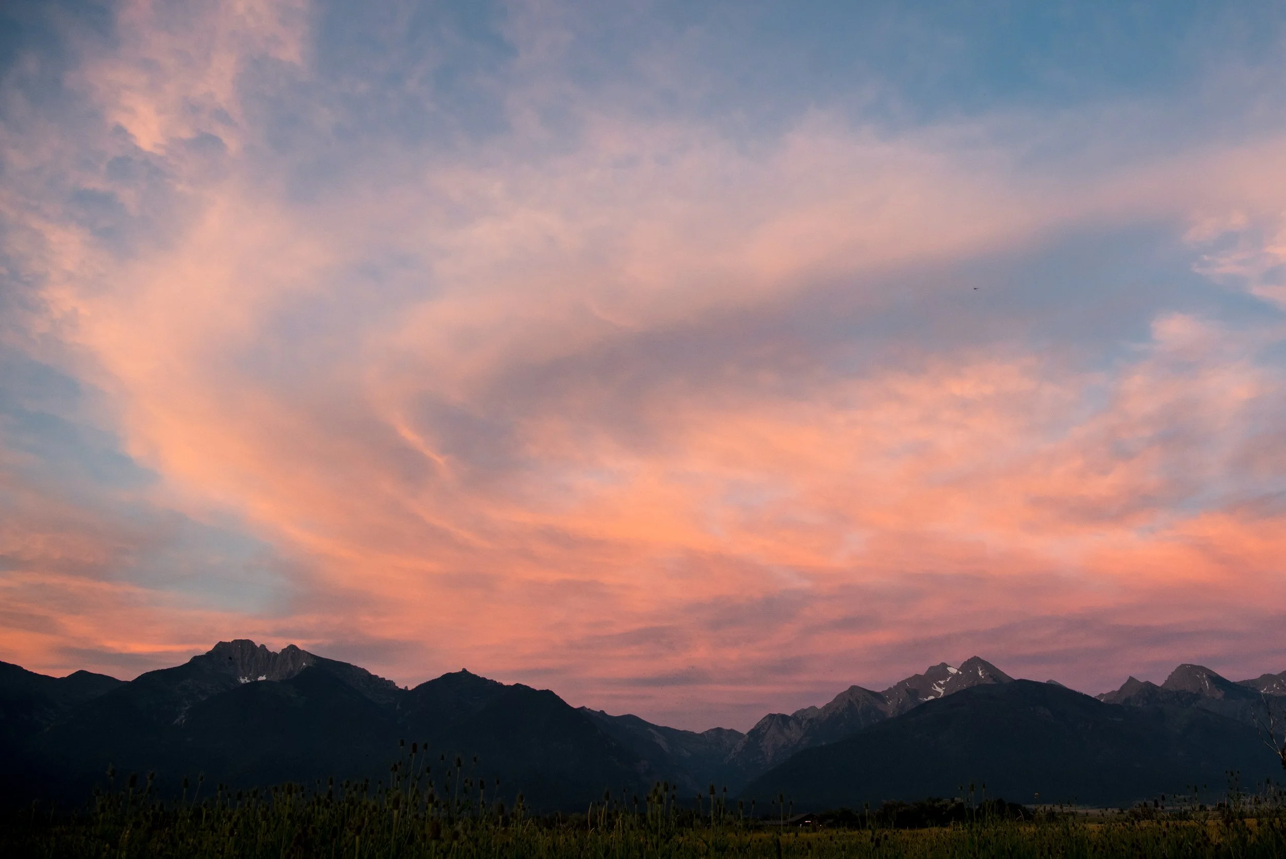 20180716-_DSC8058.jpg
