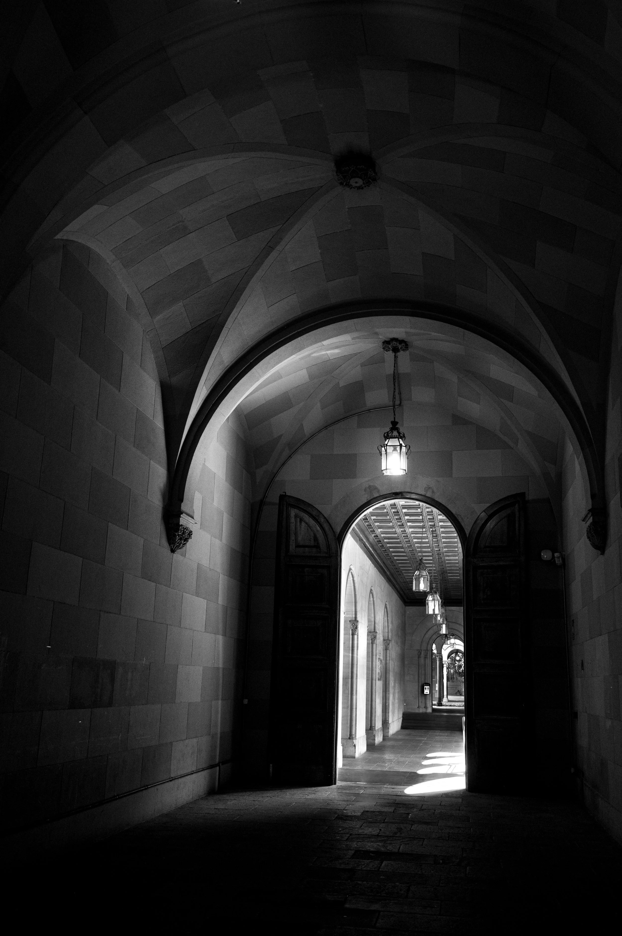 DSC_6318.jpg