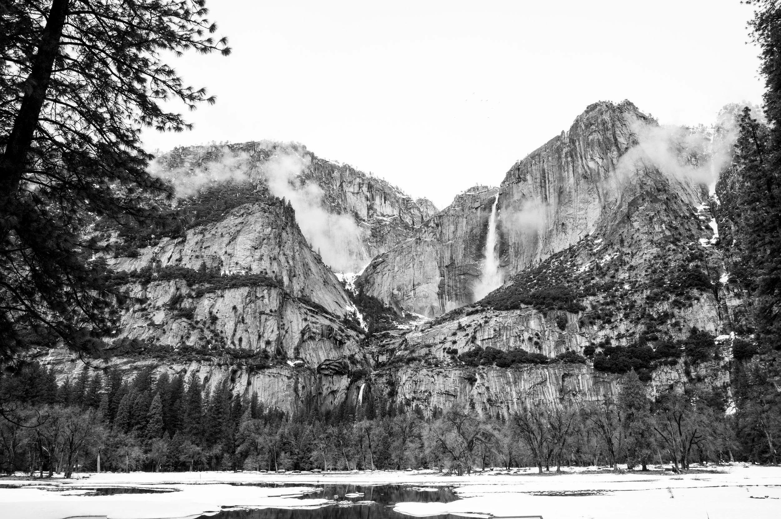 DSC_2632.jpg